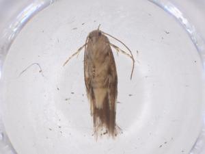  ( - CBG-B12876-G03)  @11 [ ] CreativeCommons - Attribution Share - Alike (2025) Centre for Biodiversity Genomics Centre for Biodiversity Genomics