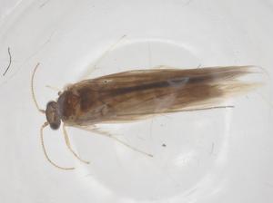  ( - CBG-B14425-B09)  @11 [ ] CreativeCommons - Attribution Share - Alike (2025) Centre for Biodiversity Genomics Centre for Biodiversity Genomics