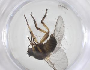  ( - CBG-B14548-B03)  @11 [ ] CreativeCommons - Attribution Share - Alike (2025) Centre for Biodiversity Genomics Centre for Biodiversity Genomics