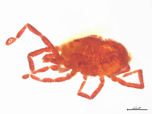  ( - CBG-B14555-A12)  @11 [ ] CreativeCommons - Attribution Share - Alike (2025) CBG Photography Group Centre for Biodiversity Genomics