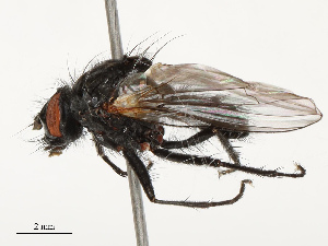  ( - CBG-B14650-A12)  @11 [ ] CreativeCommons - Attribution Share - Alike (2025) CBG Photography Group Centre for Biodiversity Genomics