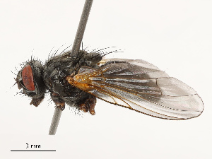  ( - CBG-B14651-D07)  @11 [ ] CreativeCommons - Attribution Share - Alike (2025) CBG Photography Group Centre for Biodiversity Genomics