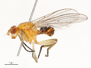  ( - CBG-B14653-G01)  @11 [ ] CreativeCommons - Attribution Share - Alike (2025) CBG Photography Group Centre for Biodiversity Genomics