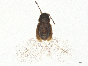  ( - CBG-B14696-C03)  @11 [ ] CreativeCommons - Attribution Share - Alike (2025) CBG Photography Group Centre for Biodiversity Genomics