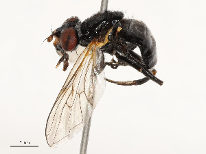  ( - CBG-B14767-D10)  @11 [ ] CreativeCommons - Attribution Share - Alike (2025) CBG Photography Group Centre for Biodiversity Genomics