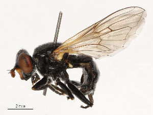  ( - CBG-B14767-F02)  @11 [ ] CreativeCommons - Attribution Share - Alike (2025) CBG Photography Group Centre for Biodiversity Genomics