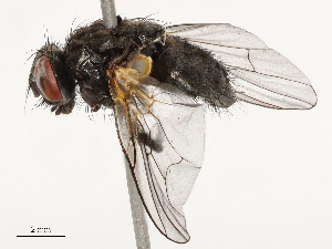  ( - CBG-B14777-B06)  @11 [ ] CreativeCommons - Attribution Share - Alike (2025) CBG Photography Group Centre for Biodiversity Genomics