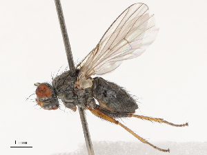  ( - CBG-B14778-A08)  @11 [ ] CreativeCommons - Attribution Share - Alike (2025) CBG Photography Group Centre for Biodiversity Genomics