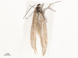  ( - CBG-B14778-B03)  @11 [ ] CreativeCommons - Attribution Share - Alike (2025) CBG Photography Group Centre for Biodiversity Genomics