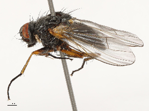  ( - CBG-B14783-B09)  @11 [ ] CreativeCommons - Attribution Share - Alike (2025) CBG Photography Group Centre for Biodiversity Genomics