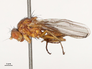  ( - CBG-B14785-A04)  @11 [ ] CreativeCommons - Attribution Share - Alike (2025) CBG Photography Group Centre for Biodiversity Genomics