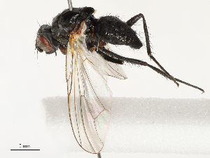  ( - CBG-B14788-A04)  @11 [ ] CreativeCommons - Attribution Share - Alike (2025) CBG Photography Group Centre for Biodiversity Genomics