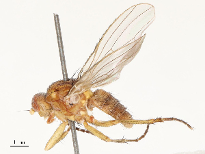  ( - CBG-B14788-C08)  @11 [ ] CreativeCommons - Attribution Share - Alike (2025) CBG Photography Group Centre for Biodiversity Genomics