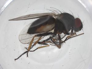  ( - CBG-B14843-G06)  @11 [ ] CreativeCommons - Attribution Share - Alike (2025) Centre for Biodiversity Genomics Centre for Biodiversity Genomics