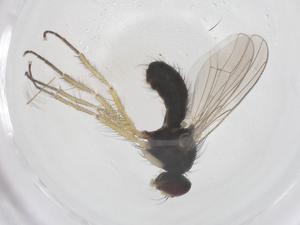  ( - CBG-B14849-F02)  @11 [ ] CreativeCommons - Attribution Share - Alike (2025) Centre for Biodiversity Genomics Centre for Biodiversity Genomics