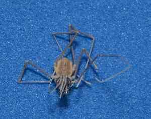  ( - BCMS-0022)  @12 [ ] Unspecified (default): All Rights Reserved  Unspecified Unspecified