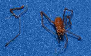  ( - BCMS-0034)  @12 [ ] Unspecified (default): All Rights Reserved  Unspecified Unspecified