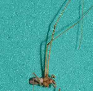  ( - BCMS-0053)  @12 [ ] Unspecified (default): All Rights Reserved  Unspecified Unspecified