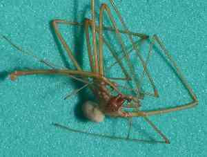  ( - BCMS-0056)  @12 [ ] Unspecified (default): All Rights Reserved  Unspecified Unspecified