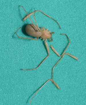  ( - BCMS-0600)  @12 [ ] Unspecified (default): All Rights Reserved  Unspecified Unspecified