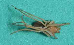  ( - BCMS-0601)  @12 [ ] Unspecified (default): All Rights Reserved  Unspecified Unspecified