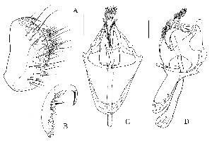  ( - DIP121990)  @11 [ ] Copyright (2018) Hong-Wei Chen South China Agricultural University, Department of Entomology