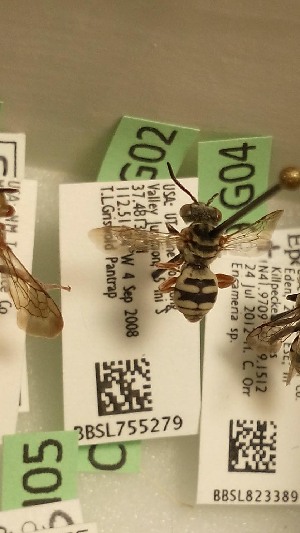  ( - CCDB-28239 G02)  @12 [ ] CreativeCommons - Attribution (2015) Laurence Packer York University