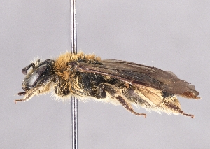  ( - OLML-0001-0208)  @11 [ ] Unspecified (default): All Rights Reserved (2025) Unspecified OÖ Landes-Kultur GmbH