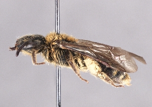  ( - OLML-0001-0209)  @11 [ ] Unspecified (default): All Rights Reserved (2025) Unspecified OÖ Landes-Kultur GmbH