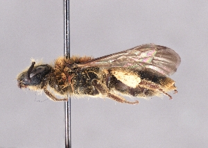  ( - OLML-0001-0210)  @11 [ ] Unspecified (default): All Rights Reserved (2025) Unspecified OÖ Landes-Kultur GmbH