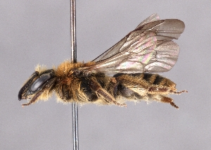  ( - OLML-0001-0211)  @11 [ ] Unspecified (default): All Rights Reserved (2025) Unspecified OÖ Landes-Kultur GmbH