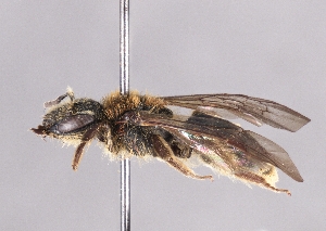  ( - OLML-0001-0212)  @11 [ ] Unspecified (default): All Rights Reserved (2025) Unspecified OÖ Landes-Kultur GmbH