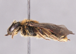  ( - OLML-0001-0213)  @11 [ ] Unspecified (default): All Rights Reserved (2025) Unspecified OÖ Landes-Kultur GmbH