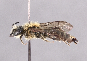  ( - OLML-0001-0216)  @11 [ ] Unspecified (default): All Rights Reserved (2025) Unspecified OÖ Landes-Kultur GmbH