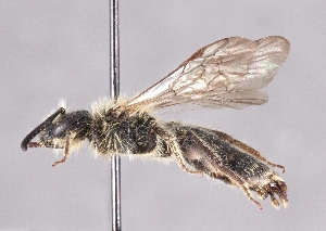  ( - OLML-0001-0218)  @11 [ ] Unspecified (default): All Rights Reserved (2025) Unspecified OÖ Landes-Kultur GmbH