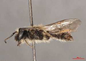  ( - OLML-0001-1631)  @11 [ ] CreativeCommons - Attribution Share-Alike (by-sa) (2025) Unspecified OÖ Landes-Kultur GmbH