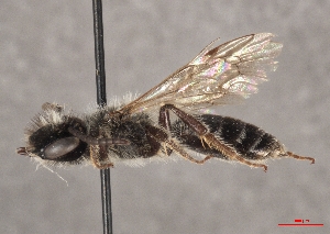  ( - OLML-0001-1633)  @11 [ ] CreativeCommons - Attribution Share-Alike (by-sa) (2025) Unspecified OÖ Landes-Kultur GmbH