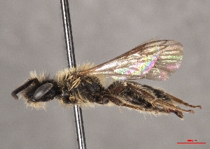  ( - OLML-0001-1637)  @11 [ ] CreativeCommons - Attribution Share-Alike (by-sa) (2025) Unspecified OÖ Landes-Kultur GmbH