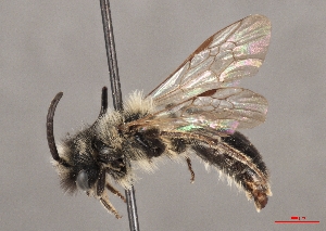  ( - OLML-0001-1638)  @11 [ ] CreativeCommons - Attribution Share-Alike (by-sa) (2025) Unspecified OÖ Landes-Kultur GmbH