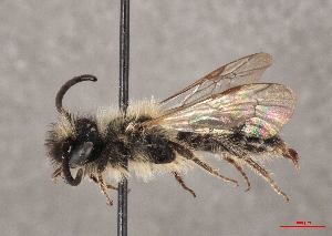  ( - OLML-0001-1639)  @11 [ ] CreativeCommons - Attribution Share-Alike (by-sa) (2025) Unspecified OÖ Landes-Kultur GmbH