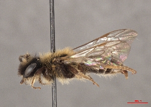  ( - OLML-0001-1640)  @11 [ ] CreativeCommons - Attribution Share-Alike (by-sa) (2025) Unspecified OÖ Landes-Kultur GmbH