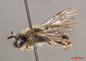  ( - OLML-0001-1642)  @11 [ ] CreativeCommons - Attribution Share-Alike (by-sa) (2025) Unspecified OÖ Landes-Kultur GmbH