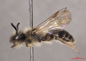  ( - OLML-0001-1686)  @11 [ ] CreativeCommons - Attribution Share-Alike (by-sa) (2025) Unspecified OÖ Landes-Kultur GmbH