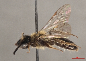  ( - OLML-0001-1687)  @11 [ ] CreativeCommons - Attribution Share-Alike (by-sa) (2025) Unspecified OÖ Landes-Kultur GmbH