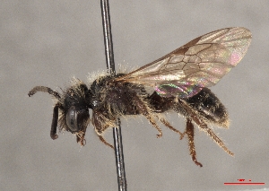  ( - OLML-0001-1688)  @11 [ ] CreativeCommons - Attribution Share-Alike (by-sa) (2025) Unspecified OÖ Landes-Kultur GmbH