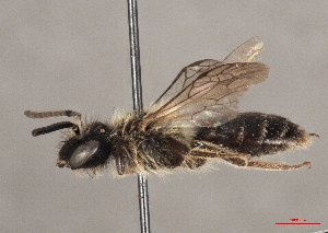  ( - OLML-0001-1689)  @11 [ ] CreativeCommons - Attribution Share-Alike (by-sa) (2025) Unspecified OÖ Landes-Kultur GmbH