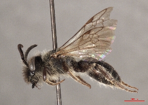  ( - OLML-0001-1690)  @11 [ ] CreativeCommons - Attribution Share-Alike (by-sa) (2025) Unspecified OÖ Landes-Kultur GmbH