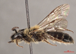  ( - OLML-0001-1691)  @11 [ ] CreativeCommons - Attribution Share-Alike (by-sa) (2025) Unspecified OÖ Landes-Kultur GmbH