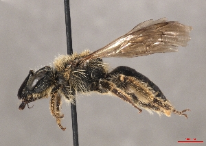  ( - OLML-0001-2004)  @11 [ ] CreativeCommons - Attribution Share-Alike (by-sa) (2025) Unspecified OÖ Landes-Kultur GmbH