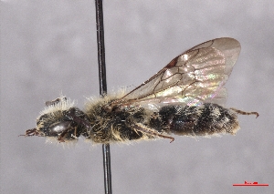  ( - OLML-0001-2039)  @11 [ ] CreativeCommons - Attribution Share-Alike (by-sa) (2025) Unspecified OÖ Landes-Kultur GmbH